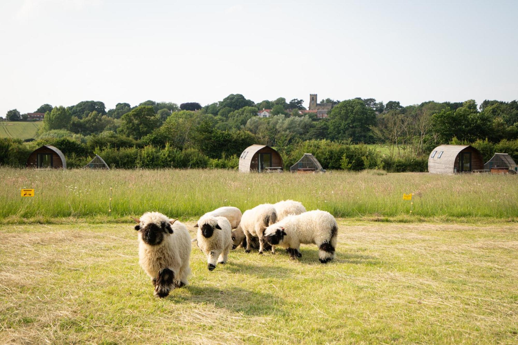 Sedgewell Barn By Wigwam Holidays Northallerton Exterior foto